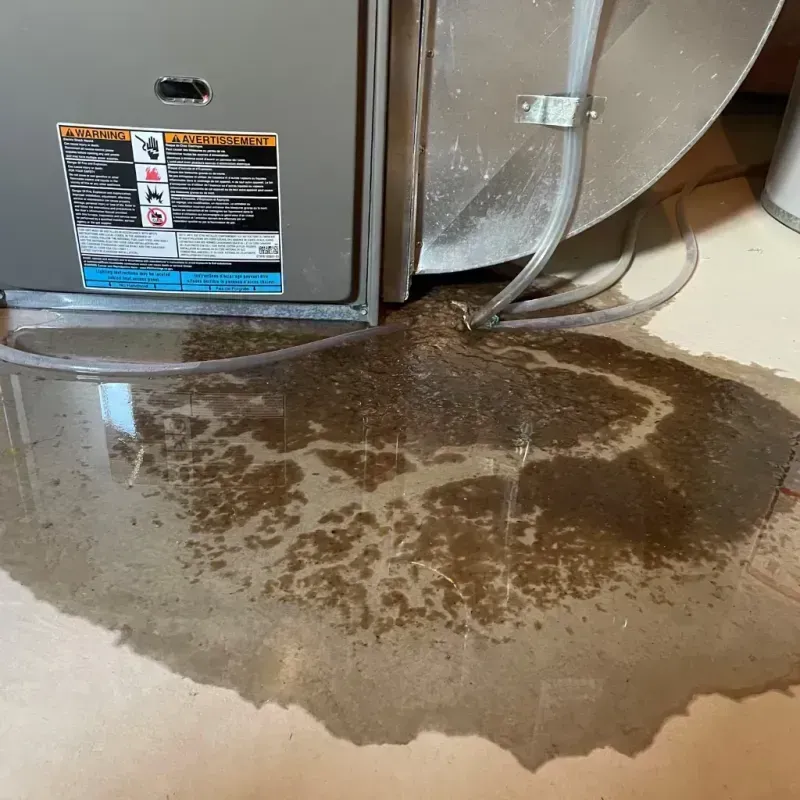 Appliance Leak Cleanup in Blakely, PA